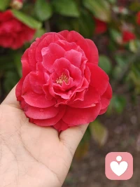 这么好的春天，这么美的期待(✧◡✧)