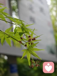 职场隐形内耗：5种焦虑信号

你是否常感疲惫却说不出原因？那些悄悄啃噬精力的“隐形内耗”，正以5种信号潜伏在职场中：

1. 身体先“报警”

明明没干重活，却总头痛、失眠、胃胀。这是焦虑的生理投射——压力激素持续分泌，身体在替你喊“停”。

2. 反复“复盘”成习惯

会议结束后脑中循环回放“刚才那句话是不是说错了”，甚至深夜翻聊天记录找“失误证据”。这种过度反刍，像在给伤口反复撒盐。

3. 用“忙”逃避沟通

看到工作群@就心跳加速，能发文字绝不打电话，能躲会议就装忙。不是真忙，是怕被评价、怕冲突的“鸵鸟心态”。

4. 总在“比较”中自我攻击

刷到同事升职、朋友跳槽的朋友圈，立刻觉得“我太差了”。这种横向比较，让你永远看不到自己的进步。

5. 追求“绝对正确”

方案改了8版仍不满意，总觉得“还能更好”，导致任务永远无法收尾。完美主义成了拖延的遮羞布。

自测提醒：若中2条以上，你可能已陷入“内耗型焦虑”。它比加班更伤身，比批评更磨心。

破局关键：承认“不完美是常态”，用“完成＞完美”替代执念；每天留10分钟写“焦虑清单”，把模糊的恐惧变成具体的待办项。记住：你不需要“解决所有问题”，只需“处理当下的问题”。

职场如长跑，少些内耗，才能跑得更远。配图