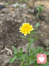 职场没有情绪自由，只有情绪管理。