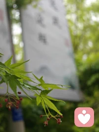 少点期待，多点清醒，职场会轻松很多。