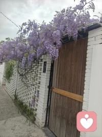 春风十里扬州路，卷上珠帘总不如