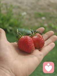 在我心情不好的时候，我会选择去地里……来吧，带你去种地