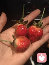 平衡努力，化解焦虑拥抱幸福