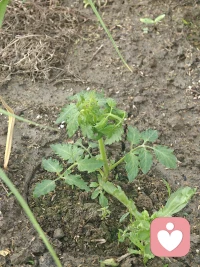 适度努力，解锁幸福的密码