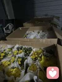 想躺花海里，哈哈哈哈配图