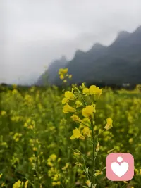 活好自己就是最美的风景


有时候，我们总想仰望别处的风景，羡慕他人的生活，却忘了自己也是风景的一部分。

活好自己，不是活成别人期待的模样，而是听从自己内心的声音。山间的野花，不会因无人欣赏就不绽放；
每个人都是独特的生命个体，有着自己的节奏和轨迹。不必追赶别人的步伐，更不必复制他人的精彩，在自己的季节里，按自己的方式生长，本身就是一种美好。

当我们不再向外寻求认可，而是向内扎根生长；不再羡慕他处的风景，而是专注经营自己的小生活，你会发现：即使在清晨为自己煮的一杯热茶，都是一份美好。

活好自己，就是接纳自己的全部，在平凡的日子里活出滋味。当你真正成为自己，你站立的地方，就是最美的风景。