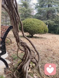 亲爱的，你比你以为的更有能力，你其实是一个拥有无穷能量又非凡出众的存在体配图