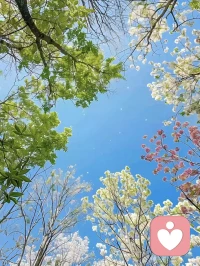 最好的关系是自我成全