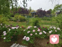 人是不会改变的，除非他感觉到被爱
人是不会改变的，除非他感觉到很多的尊重
人是不会改变的，除非他允许不改变也是可以的
改变就发生了