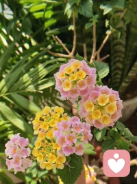 一个很容易迷茫的人，是因为他从来没有做自己