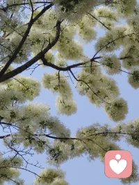 爱是尊重，不是纠缠