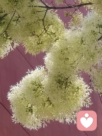 能吸引的你的，一定是潜意识里你需要的!