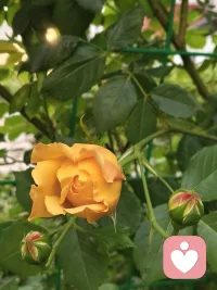 行动是最好的冥想!