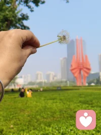 当您看到他人，其实也是在看见自己配图