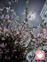 你们有啥心事可以跟我聊哦 来接单咯配图