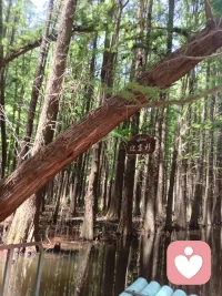 今天分享一个实用心理学：晕轮效应。
一句话定义：被对方某个优点迷惑，自动忽略所有缺点，自带美化滤镜。
恋爱满眼全是对方优点，婚后滤镜破碎缺点暴露，落差太大频繁吵架。
恋爱理性看人，不盲目美化伴侣。
婚后心理落差大、感情内耗，私信疏导情绪。