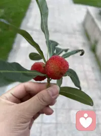 久未冒泡，今晚想当会儿‘树洞’。

如果你有攒了很久的话没处说，或者心里像塞了团棉花透不过气，都可以找我聊聊。不用准备什么，想到哪儿说到哪儿就好，我认真听。配图