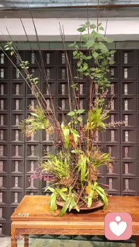 爱自己，接受自己，找到生命的价值。