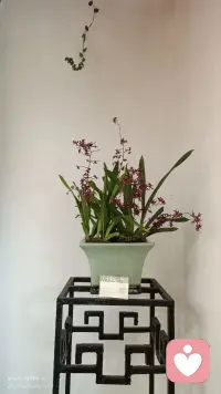 和其他人连接的最有意义的方式就是讲出我们的故事