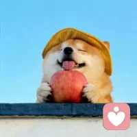 让自己放松弛一点吧，生活不会因为你甭紧了弦就能改变什么