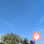 一粒麦子做豆包的头像