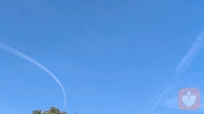 一粒麦子做豆包