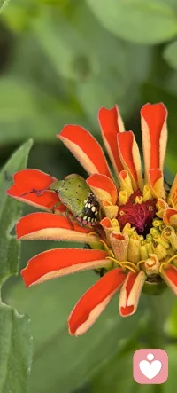 每早晨都是新的开始，今天阳光明媚，适合户外活动。可惜我得上班。祝福能在户外的沐浴阳光的人们开心快乐！