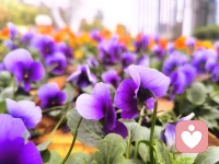 勇敢去做，没什么大不了，当你迈出第一步，接下来的路就会很顺利