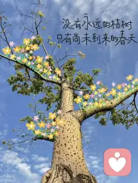 ——今天分享的是《自渡》
成年人的烦恼和谁说好像都不合适，真正能够治愈你的是你的格局和释怀，这个世界上从来没有什么感同身受，你可以消沉，也可以抱怨，甚至可以崩溃，但你一定要懂得自愈，没有多少人真的心疼你，能救你于谷底的从来不是他人，而是你自己。人生漫长，在喧嚣中自静，在孤独中自爱，在关系中自洽，在伤痛中自愈。最终在生活中自渡。你要相信，其实一直陪着你的都是那个了不起的自己，山有顶峰，湖有彼岸，人生漫漫皆有回转。当你觉得余味苦涩，请相信一切终有回甘。人生自苦，他人难悟，唯有自爱，方能自渡。