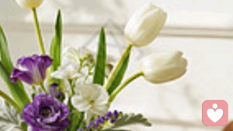 感情里的委屈，总有人愿意听你说