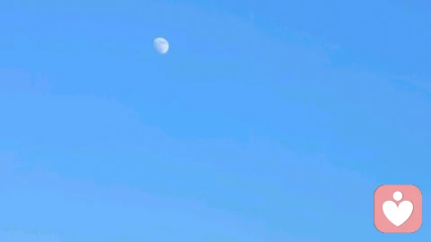 别让情绪内耗，拖垮你的生活：学会和自己和解