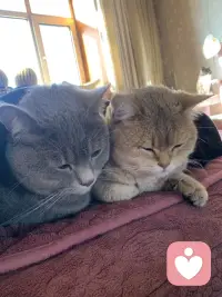 温柔一点也慢一点，你不必一直坚强，累了就抱抱自己，世界很吵，记得把心留给值得的人和事