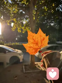 你想要怎么样对待？