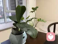 所有的疾病都源于心。
治愈的方法只有一个，那就是信念。
治愈的力量只有一种，那就是你的潜意识。
牢牢记住这些治愈身心的力量之源吧。
