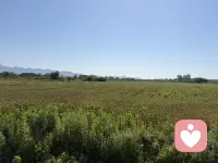 时间是祛魅最好的方式，也许到最后你会发现，那个所向披靡，战无不胜的人只有你自己！配图