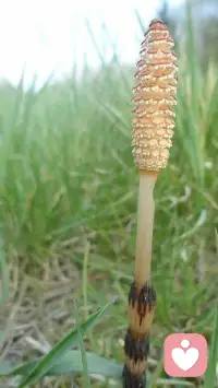 家庭的第一性原理是经济，而不是感情；
健康的第一性原理是自律，而不是医疗；
成长的第一性原理是反思，而不是经历；
职场的第一性原理是价值，而不是努力；
投资的第一性原理是风险控制，而不是高额回报；
创业的第一性原理是市场需求，而不是个人喜好；配图