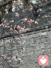 做一名好脾气的倾听者配图