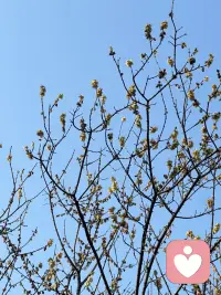 做一名好脾气的倾听者配图