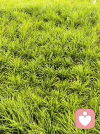 此刻想挣钱的心达到了顶峰😔配图