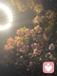 治愈别人，温暖自己！