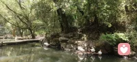 游山玩水中