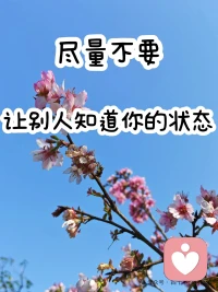 直到活到中年，才懂得要学会隐藏。
因为真正懂你的，希望你好的，其实没有几个。