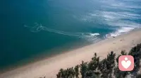 今天把心事交给海风，把情绪还给海浪。
做了倾听师，总在接住别人，
今天，好好接住自己。
听了太多人间故事，
也需要一片海，来安放情绪。
治愈别人的路上，别忘了先治愈自己。✨配图