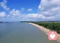 大海从不拒绝每一朵浪花，
就像倾听从不否定每一种情绪。
夏天、海风、海边，
愿你被温柔包裹，被理解拥抱，允许一切发生，也允许自己被治愈。✨配图