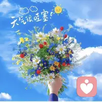 让自己像花儿一样美丽灿烂，心身愉悦，我会像书，像花瓶一样托起你心里的格楞，用心 专心倾听和陪伴你心底最深的那道光！
