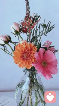 让自己像花儿一样美丽灿烂，心身愉悦，我会像书，像花瓶一样托起你心里的格楞，用心 专心倾听和陪伴你心底最深的那道光！