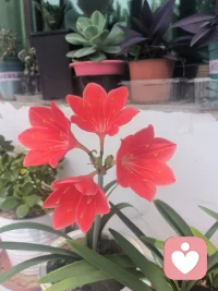 做你的专属倾听师✨接纳所有脆弱与委屈，给你安全私密的倾诉角落，情绪有处安放，心情有人聆听。配图