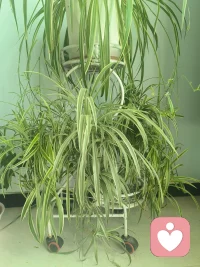 做一名倾听师，接住细碎情绪，耐心聆听心事，温柔陪伴每一个陷入迷茫的人。配图