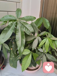静下心倾听，读懂藏在话语里的委屈，倾听师，做温暖的避风港。配图