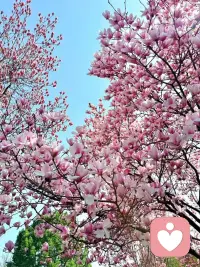 有些困惑，对异性说反而更轻松。
女性倾听师，中立包容、无压力陪伴，认真倾听女生的迷茫与不安，不评判、不越界、守隐私，陪你接纳自己，自在成长配图